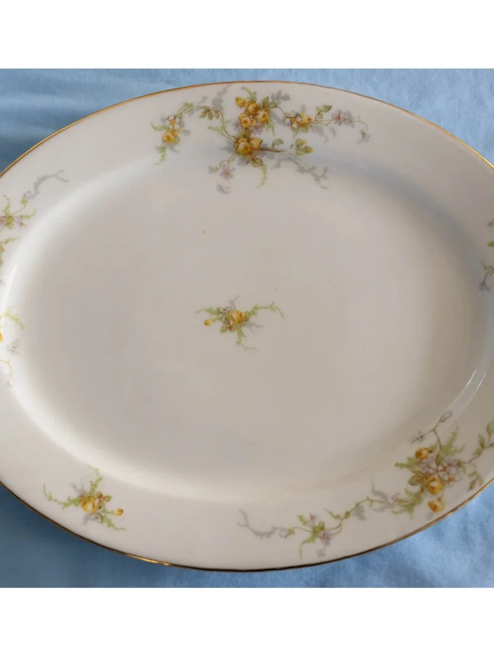 Beautiful Antique Elite Works Limoges France LIM48 Yellow Rose Dinnerware Set